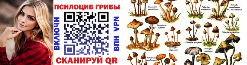 Галлюциногенные грибы Cubensis  Черепаново 